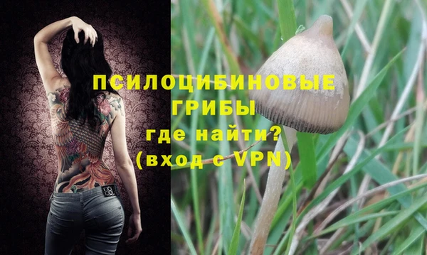 Альфа ПВП Гусиноозёрск